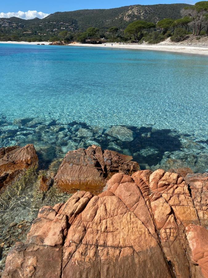 מלון Palombaggia Location I Pini Porto Vecchio מראה חיצוני תמונה