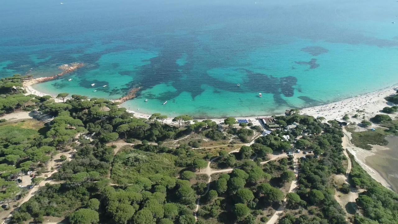 מלון Palombaggia Location I Pini Porto Vecchio מראה חיצוני תמונה