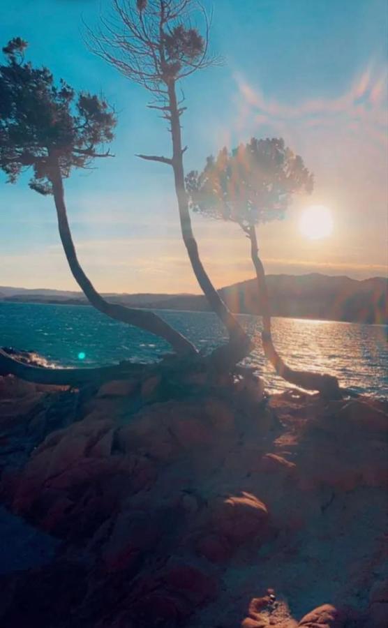 מלון Palombaggia Location I Pini Porto Vecchio מראה חיצוני תמונה