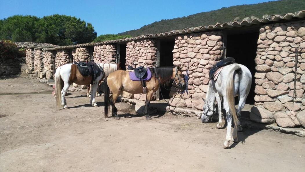 מלון Palombaggia Location I Pini Porto Vecchio מראה חיצוני תמונה